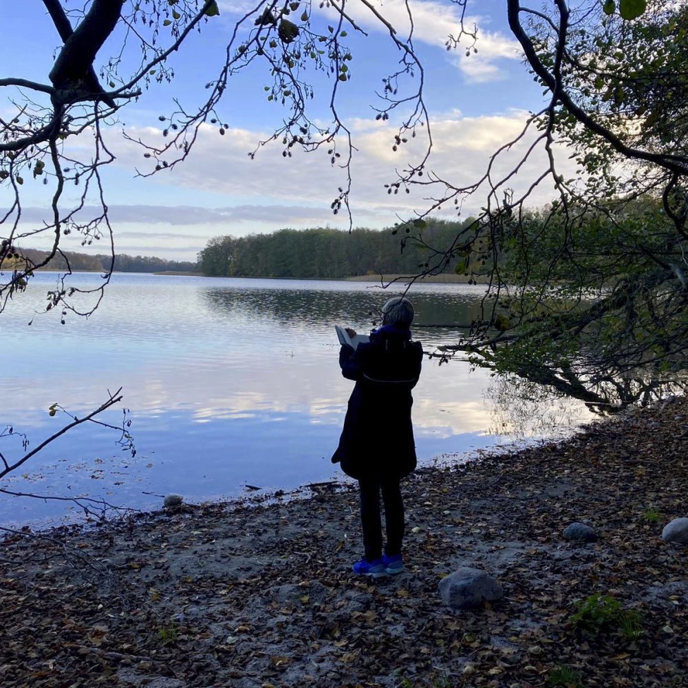 Malreise Laeven 2020