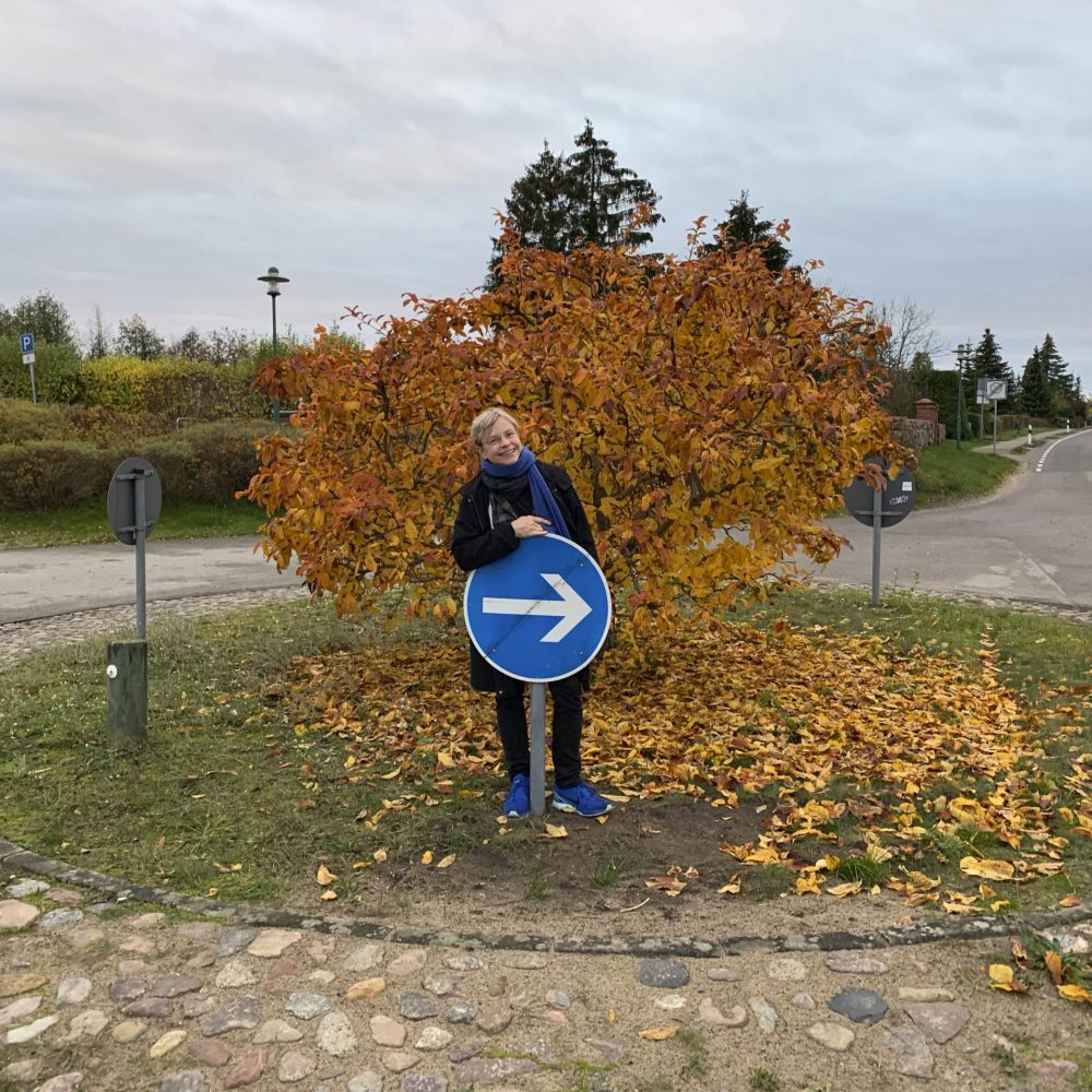 Malreise Laeven 2020